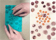 Image of four kinds of white blood cells and red blood cells and the resulting tactile plate showing that higher portions of the plate correspond to darker parts of the image