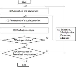 Flow chart shows the genetic algorithm process. This process searches the best parameters in nervous system. 