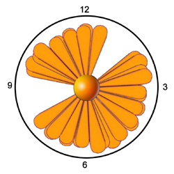Graph 2 shows an example of the Daisy Plot format for presenting activity information to the wheelchair user. In the daisy plot, the petals and petal length represent activity, missing petals represent inactivity, and time corresponds to a 12 hr or 24 hour clock. 