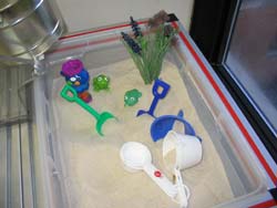 This is a photo showing all of the commercial sensory additions purchased to enhance play.  They include: 2 pink plastic buckets, 3 large shovels, 3 smaller shovels, 2 sets of measuring cups, 2 pouring measuring cups, a fish net with three numbered fish to catch, 2 plastic funnels, 3 kinds of plastic flowers, 1 strainer, 1 turkey baster, set of 3 musical bobbling floating toys, 4 rubber ducks, 3 green frogs, 1 small plastic fish, a turtle strainer with removable clear green shell, a hippo strainer, tiny turtle, a 4-teer detachable water toy that filters and moves water in its various components, 11 floating smiley face balls.