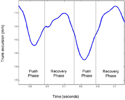 Representative plot of the trunk excursion for two consecutive propulsion cycles for a single subject.  The trunk was moving backwards at the beginning of the push phase and approximately midway
