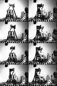 Figure five shows eight photos taken 15 milliseconds apart during test C that show an overview of the wheelchair and dummy movements during the test.  In test C the wheelchair frame moves between nine and ten inches laterally and the ATD reaches a maximum dynamic torso angle of approximately 20 degrees.