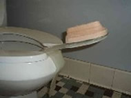Figure 2b: This photograph shows a side view of Prototype B attached to a toilet.  