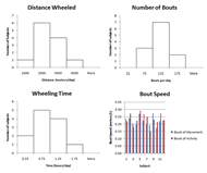 Histograms of distance wheeled, number of bouts and total wheeling time are shown based on median day values for all subjects. It can be seen that the number of bouts follows an approximately normal distribution, while the other distributions are skewed towards zero. Bout of movement vs. bout of activity speeds are also shown and depict the relative closeness of these two speeds, with a difference of less than 20% for all but two subjects. 