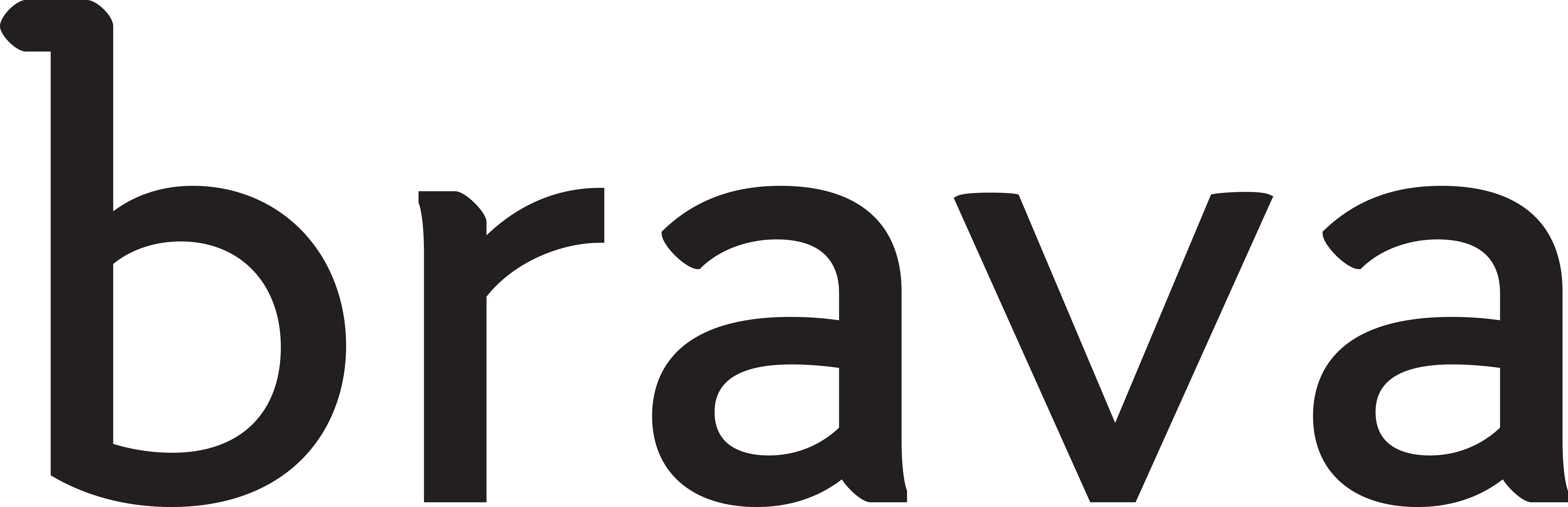 Logo for Brava - features the text "brava" in black color with a white background.