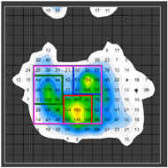 Picture of the pressure measurement display for one of the study participants. The display includes a 16 x 16 grid with different colors to represent the intensity of pressure for each grid.  The colors range from white (minimum pressure) to red (maximum pressure).  The figure shows a representation of the pressures an individual experiences between the seat cushion and the buttocks/femur. The representation highlights the ischial tuberosities, sacrum, greater trochanters and femurs.  The top/bottom and left/right edges of the figure represent that anterior/posterior  and left/right positions of the participant. The area (magenta rectangle) used to calculate the dispersion index circumscribes the three squares used to define the left/right ischial tuberosiities (green square, blue square) and the sacrum (red square). The mean range is 