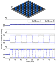 At the top, a cushion model is shown, displaying the checkerboard arrangement of the two cell groups. Cell group 1 is shown in blue, and cell group 2 is shown in black. Shown below are three plots, displaying the internal air pressures used in each protocol. Each plots begins with a 5-min baseline period with both cell groups having 30 mmHg of air pressure. In the first plot, the baseline period is followed by a 40-min period with both cell groups having 40 mmHg of air pressure. In the second plot, the baseline period is followed by a 40-min period, in which cell group 1 starts with 70 mmHg of air and cell group 2 starts with 10 mmHg, and they rotate every 5 min. In the third plot, the baseline period is followed by a 40-min period, in which cell group 1 starts with 70 mmHg of air and cell group 2 starts with 10 mmHg, and they rotate every 2.5 min.