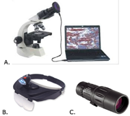 In part A. A picture of a typical commercial student microscope with a laptop connected to the eyepiece via a digital camera. A generic histological image is shown on the laptop screen. In part B. A commercial, head-worn optical loop is shown. A magnified lens flips down in front of the wearer’s eyes. A headlamp is also attached for additional illumination. In part C. Shown is a commercial monocular that is held up to the user’s eye for viewing at a distance. 