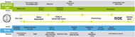 Figure 2 is a task analysis map describing the various tasks and time of the performance of tasks during WhMD securement for each user, bus operators and WhMD users  