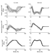 Pictured are vertical, medio-lateral, and anterior-posterior model predicted and force plate ground reaction force curves for two speeds: 0.2 m/s and 0.8 m/s. The graphs show that for the faster speed the predicted and force plate GRFs are more similar than for the slower speed. Furthermore standard deviations for the GRF curves for the slow speeds are relatively greater than those for the faster speed. 