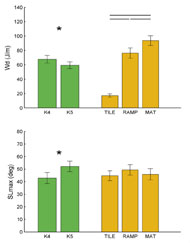 Fig 1. Picture of the marginal means ± standard error for propulsive work (Wd) and maximum shoulder flexion (SLmax) across wheelchair and propelling condition. Wd was higher for the K4 wheelchair compared with the K5. Across conditions, Wd on mat was higher than ramp and tile, and ramp was higher than mat. SLmax was higher for the K5 wheelchair compared with the K4. No statistical differences were observed across conditions for SLmax. 