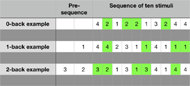 N-back sample sequences. Example sequences for the 0-back, 1-back, and 2-back conditions. In the zero-back condition, the user presses the button anytime the number ‘2’ appears on the screen. In the one-back condition, the user presses the button anytime the current number on the screen matches the previous number. In the two-back condition, the user presses the button when the current number of the screen matches the number shown two stimuli before.  