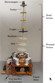 Photograph of the Bendy ARM robot. This robot consists of a wooden base upon which the flexible ‘backbone’ of the arm is vertically mounted. The backbone is made up of two plastic rods, connected by a metal coupler. The rod closest to the base forms the backbone’s proximal section, and the rod furthest from the base forms the backbone’s distal section. Each section is segmented by rigid disks centered about the backbone. Four tendons run through the disks in each section, for a total of eight tendons. All of the tendons are connected to individual stepper motors, which are mounted to the wooden base. The robot’s electronics and user interface are housed in a wooden box adjacent to the robot’s base, connected to the robot via wires. An electromagnet serves as the robot’s end-effector. 