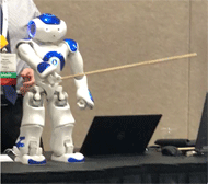 The figure presents NAO®, a social humanoid robot. The robot is holding a wood stick in its hand and uses it to perform range of motion exercises. Since the robot arms are small, it uses the stick to extend the range. 
