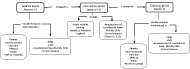 Figure 1 is a flow chart describing the study procedure. On top of the chart there is the study periods: baseline, intervention and follow-up, respectively. Each of them are linked by an arrow to demonstrate their order in the study. Underneath each period there is an arrow to link the outcomes measures or interventions used in that period. For the baseline period (sessions 1-2), the measures administered to the parents are: semi-structured interview, DMQ 18, RAIS and PEDI-CAT. The measures administered to the child is the PMS, Foundational Power Mobility Skills observation and the control measure. For the intervention period (session 3-11), the sessions included the power mobility training and completion of the logbook. Re-assessment was done in session 5, 8 and 11 by observing foundational power mobility skills and the control measure. Then the follow-up period (session 12) include the same outcomes measures as in the baseline period. 