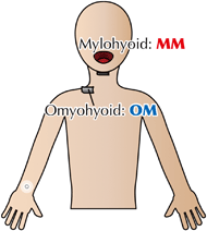 A schematic diagram of the measurement points for the myoelectric signal when the tongue motion. One part is the “mylohyoid muscle” and the other is the “omohyoid muscle”. The “mylohyoid muscle” is located under the jaw, and the “omohyoid muscle” is located upper the right clavicle.  