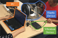 The image perception system consists of a PC connected with a haptic device and a vibrational device.