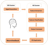 figure 1 depicts the different components of the BCI-FES. The components are arranged into a cycle describing the process of providing feedback from the FES system back to the brain.  