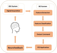 figure 1 depicts the different components of the BCI-FES. The components are arranged into a cycle describing the process of providing feedback from the FES system back to the brain.