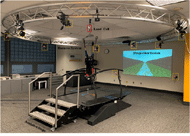 Figure 1 show the experimental setup for post stroke gait perturbation that include; Treadmill with coordinate system (travel is z- direction), projection screen, load cell (solid red square), Harness system, 3- level assistive steps, and 10 cameras (dotted yellow square). 