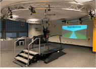 Figure 1 show the experimental setup for post stroke gait perturbation that include; Treadmill with coordinate system (travel is z- direction), projection screen, load cell (solid red square), Harness system, 3- level assistive steps, and 10 cameras (dotted yellow square).