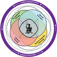 A figure depicting the interrelated nature of special education and related services of OT, PT and SLP in providing individualized services to facilitate success for students with high intensity needs.
