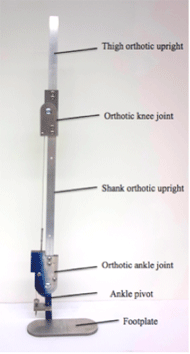 Figure 1 shows the proposed SCKAFO standing in an upright position. From the superior to most inferior end, the labeled components are: thigh orthotic upright, orthotic knee joint, shank orthotic upright, orthotic ankle joint, ankle pivot, and footplate.