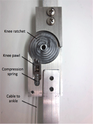 Figure 2 shows the knee joint of the proposed SCKAFO. From the superior to most inferior end, the labeled components are: knee ratchet (which is a modified partial ratchet gear featuring three ratchet teeth), knee pawl (which is in contact with the knee ratchet), compression spring, and cable to ankle.