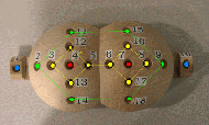 Figure 1. The 255 mm indenter is displayed with the elevation zones labeled. The dual, semispherical indenter is instrumented with 18 pressure sensors. The sensors are arranged in four different elevations zones in which each elevation zone is separated by a height of 5 mm. Elevation 1 corresponds to the two sensors located at the lowest point of the indenter and represents the location of the ischial tuberosities. Elevation 2 is composed of eight sensors and located 5 mm above Elevation 1. Elevation 3 is composed of six sensors and located 5 mm above Elevation 2. Elevation 4 is composed of two sensors and located 5 mm above Elevation 3. Elevation 4 represents the location of the trochanters.  