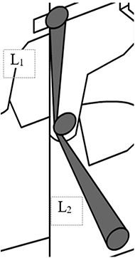 Diagram of a layout of two connected sockets (forearm and shoulder), which shows the location of elastic elements of length L1 and length L2.