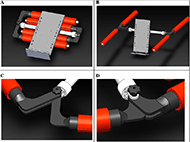 Figure 1 depicts the standing frame in several different conformations. In Figure 1A, the device is fully folded, such that the board is parallel with the buoyant arms of the device that are folded inward. In this conformation, the device is much easier to store in a limited space and carry around. Figure 1B depicts the device in its unfolded conformation. The arms, now unfurled, form an H shape, joined in the middle by an axial pipe. The arms of the device are still parallel to the ground. The central support board is rotated such that it is now perpendicular to the group. This conformation allows for the even distribution of weight in the water. Figure 1C and D both depict L shaped joints, which connect the arms of the device to the central pipe. These are made such that the buoyant arms can be stored underneath the board in the folded conformation, but also unfurled into the H shape of the unfurled form. There is a knob that can be tightened that connects the joints. By tightening this knob, the position of the joints can be secured in at various angles. The staggered layers of these joints makes it possible for them to overlap without colliding. 