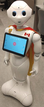 Figure 1 shows a social robot called Pepper.
It is a humanoid robot that has a tablet on its chest.  
