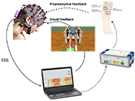 This graph shows the main components of a BCI system for motor rehabilitation. There are 4 main components. First the EEG cap record the brain signals. This EEG cap send this brain signals to the computer. Once the computer classify the EEG data into the correct class, the virtual avatar and the functional electrical stimulator is activated in order to provide an effective feedback to the patient.