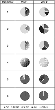 This figure includes pie charts of the frequency with which each participant used the different stroke patterns during each visit. Participant 1 used the Other pattern for more than half of their strokes in the first and second visit. They used 3 different stroke patterns during the first visit and four different patterns at the second visit. Participant 2 used the Other pattern for over half of their strokes during the first visit, but during the second visit changed to using the Arc pattern most frequently. They used three different stroke patterns during the first visit and five different stroke patterns during the second visit. Participant 3 used the Other pattern for half of their strokes during the first visit, but during the second visit, they used DLOP, SC, and Other each about one third of the time. Participant 4 used the DLOP pattern for more than half of their strokes during both visits. They used two different stroke patterns at both visits. Participant 5 used the SC pattern for more than half of strokes for both visits. They used three different stroke patterns at the first visit and two different patterns at the second visit. Participant 6 exclusively used the SC pattern during both visits. 