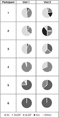 This figure includes pie charts of the frequency with which each participant used the different stroke patterns during each visit. Participant 1 used the Other pattern for more than half of their strokes in the first and second visit. They used 3 different stroke patterns during the first visit and four different patterns at the second visit. Participant 2 used the Other pattern for over half of their strokes during the first visit, but during the second visit changed to using the Arc pattern most frequently. They used three different stroke patterns during the first visit and five different stroke patterns during the second visit. Participant 3 used the Other pattern for half of their strokes during the first visit, but during the second visit, they used DLOP, SC, and Other each about one third of the time. Participant 4 used the DLOP pattern for more than half of their strokes during both visits. They used two different stroke patterns at both visits. Participant 5 used the SC pattern for more than half of strokes for both visits. They used three different stroke patterns at the first visit and two different patterns at the second visit. Participant 6 exclusively used the SC pattern during both visits.
