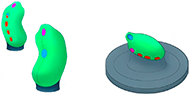 These images show two concepts for squeezable, organically shaped joystick controllers that stand upright on a desk.
