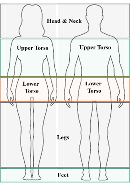 Figure 2 illustrates the five-part body segmentation for male and female participants. The body is segmented into the head/neck, upper torso (shoulder to waist), lower torso (under the waist to under the buttocks), legs (under the buttocks to ankles), and feet.