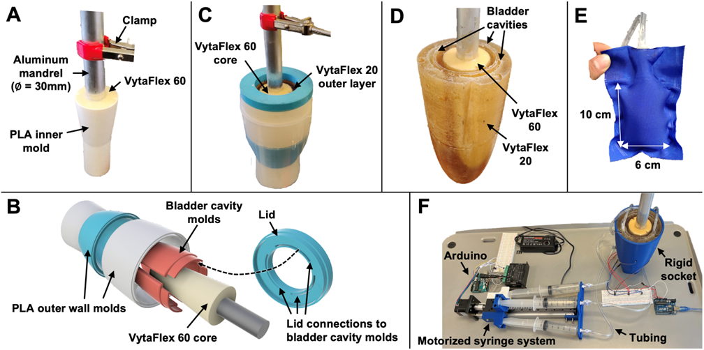 Design overview of the biofidelic limb. Part A) shows the first step in the process of casting the core with VytaFlex 60. The VytaFlex 60 is cast within a PLA inner mold surrounding an aluminum mandrel, that has a diameter of 30 mm. The mandrel is held in place with a clamp. Part B) shows a rendering of the mold set-up required for casting the outer layer. The outer shell comprises two PLA molds, which surround the previously casted VytaFlex 60 core. Molds for the bladder cavities are held in place (in the space between the outer wall molds and the inner VytaFlex 60 core) by attaching to a lid that is placed over the whole mold assembly. Part C) shows the VytaFlex 60 core suspended in the mold assembly via a clamp, during casting of the outer VytaFlex 20 layer. Part D) shows the final casted biofidelic limb once all molds are removed. The outer VytaFlex 20 layer surrounds the VytaFlex 60 core, and spaces are shown where the bladder cavity molds were held. Part E) shows one bladder of the heat-sealed TPU bladder, with dimensions of 10 cm by 6 cm. Part F) shows the full system with the adjustable limb inside a rigid socket, connected to a motorized syringe system via tubing. The Arduino is connected to the motor of the motorized syringe system.