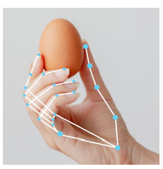 Figure 10. Landmarks on the hand tracked by the Google MediaPipe Hand model, including fingertip and finger joint positions and the wrist.