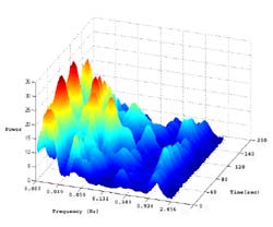 Graph depicts the distribution of energy densities of each characteristic frequency embedded in blood flow signal in the time-frequency domain. Data are shown in two-dimensional format and are not easily to be compared.