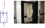 Schematic drawing and photo of the radial loading test