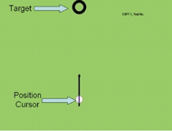 The white circle shows the position cursor on the visual display. The movement of the wrist robots moves the cursor towards the target as indicated by the black ring towards the top of the figure.