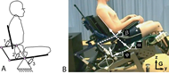 Figure 2: Mechanical concept for sagittal postural adjustment A: Based on a parallelogram, the mechanical concept for independent body segment actuation is shown. B: adjustable simulator chair with the concept for sagittal postural adjustment. Seat-, parallelogram- and backrest angle are defined by φ, α and β respectively.