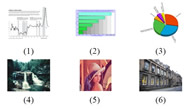 Six images are presented to show the different types of figures, (1)-(3) are information graphics including line graph, bar chart and pie chart; (4)-(6) are photograph including nature image, portrait, and architecture.