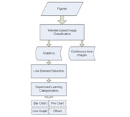 Graph 3: A description of the categorization section 