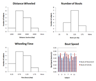 Histograms of distance wheeled, number of bouts and total wheeling time are shown based on median day values for all subjects. It can be seen that the number of bouts follows an approximately normal distribution, while the other distributions are skewed towards zero. Bout of movement vs. bout of activity speeds are also shown and depict the relative closeness of these two speeds, with a difference of less than 20% for all but two subjects.